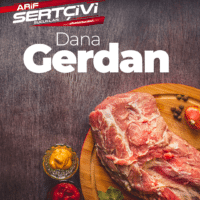 Dana Gerdan